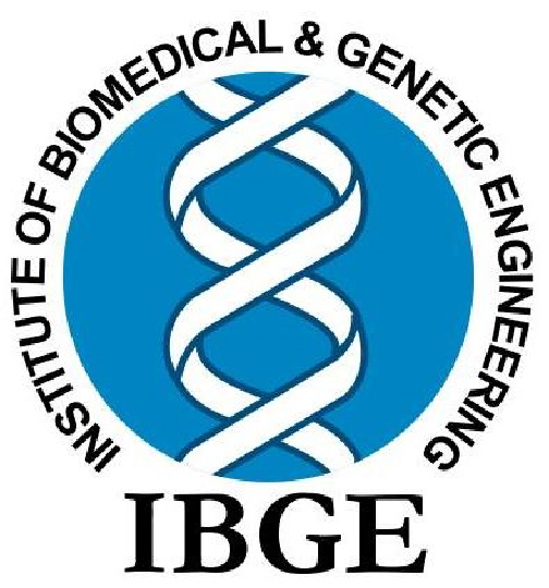 IBGE Logo